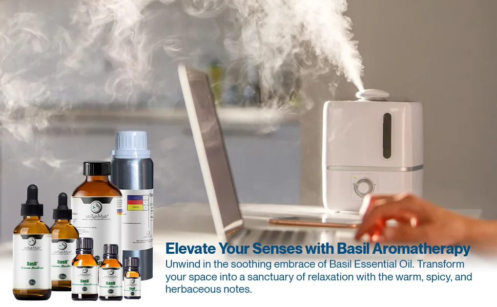 Basil Essential Oil ct linalool (1oz) 1 Fl Oz (Pack of 1) - Basil Essential Oil ct linalool