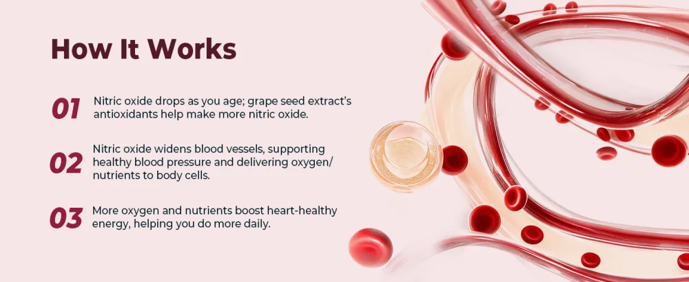 Divinity Nutra Organic Beet Root Capsules with CoQ10 Vitamin E Grape Seed Non-GMO USA Made - 60 Capsules 60-Day Supply 8000mg - how it works