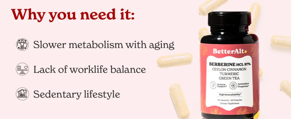 Better Alt Berberine Capsules (120) with HCL 97%| with Ceylon Cinnamon Turmeric Green Tea Ginseng| Aids Digestion & Supports Immunity| Vegan & Non GMO - Berberine Capsules