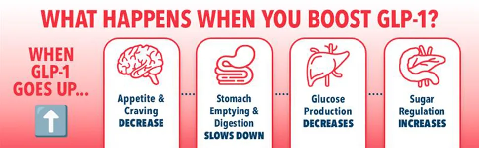 Bye-Bye Carbs - Carb Blocking Drink Mix - Fight Cravings Feel Full Longer & Support Digestion Sugar-Free & Keto Friendly - Strawberry Kiwi - what happens.
