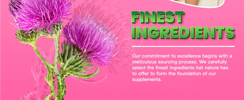 VPKIN Milk Thistle Supplement1000mg Max Strength Silymarin 4:1 Concentrated Extract Support Immune Non-GMO & Vegan - 120 Capsules 4 Months Supply - milk thistle