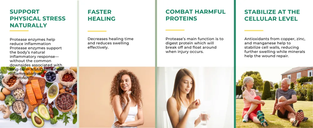 Optimal Health Systems Optimal Wellness 90 Capsules - lavant