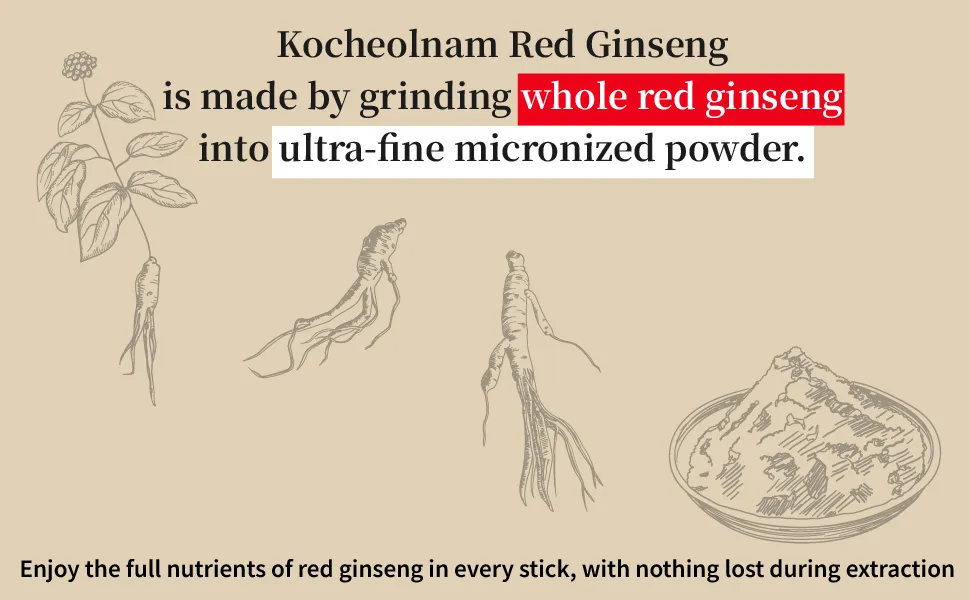 Benepisyo Korean Red Ginseng Extract One Day one Stick 10ml x 100 Pouch Healthy Beverage Drink Portable Convenient  - product information 4