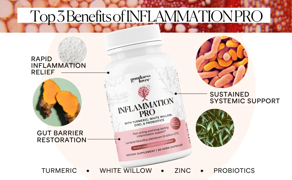 Goodness Lover Inflammation Pro with 10 Billion CFU for Digestive Support Curcumin White Willow bark Extract Zero fillers Vegan 30 Servings - turmeric white willow zinc preobiotics rapid relief gut barrier restoration