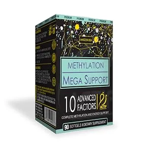 ACTIF Methylation Mega Support with 10 Advanced Factors and Organic Folate 100% Natural Non-GMO 90 Count - methyl