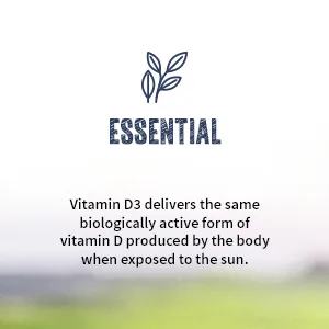 NEW ROOTS HERBAL Vitamin D3 2 500 IU (62.5 mcg) | Non-GMO & Gluten-Free (90 Veg Caps) - essential
