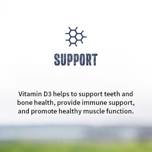 NEW ROOTS HERBAL Vitamin D3 2 500 IU (62.5 mcg) | Non-GMO & Gluten-Free (90 Veg Caps) - support