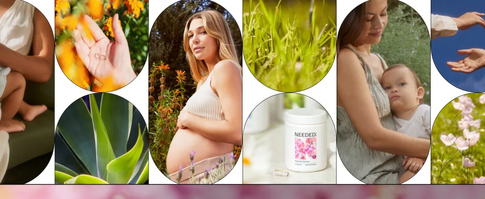 Needed. Prenatal Choline+ Liquid Capsules for Cognitive Development - Choline Supplements For Pregnancy - Aids Baby Brain Development & Supports Healthy Pregnancy - Third Party Tested - 30 Liquid Caps Liquid Capsules 30 Cou  - Choline+, prenatal, mom, mother, needed