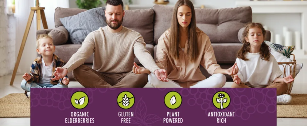 Birds & Bees Teas - Elderberries Dried Organic 8 oz - elderberry, elderberries, syrup making kit, kit, wellness, family, plant based