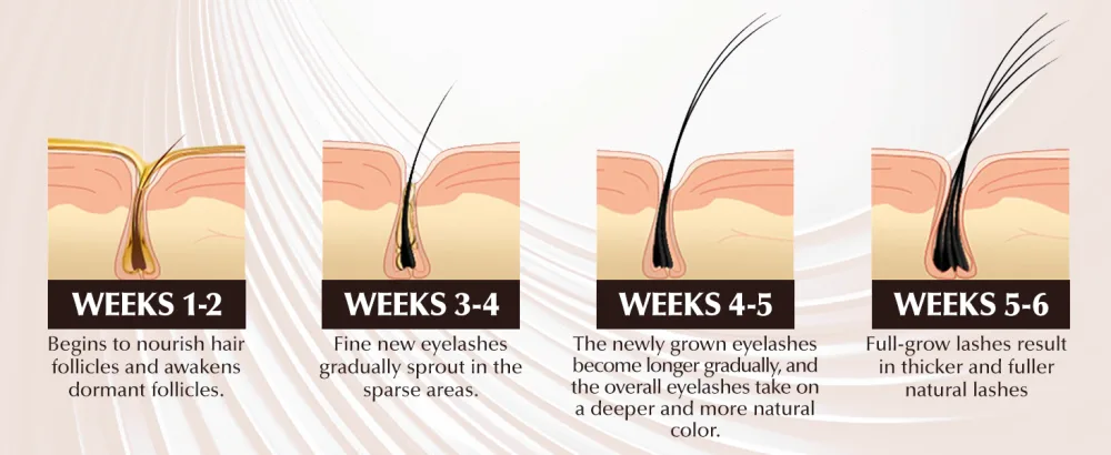 Lash Serum & Eyebrow Serum Kit Natural Formula Eyelash Growth Promotes Longer Thicker & Fuller Lashes & Brows Vegan Cruelty-Free For Sensitive Eyes (2 Pack 10ml) - product information 3