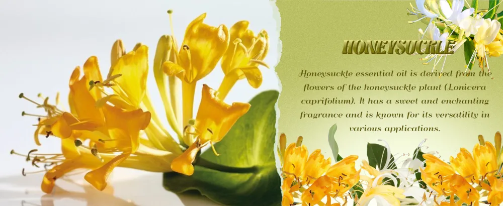 ARVIDSSON Honeysuckle Essential Oil 4 Fl Oz (120ml) Pure & Natural Honeysuckle Oil Aromatherapy Essential Oils for Diffuser Candle Making Room Spray Diffuser Oils Scented Oil Gift for Women - product information 3