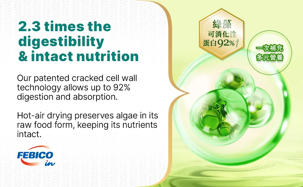 FEBICO Chlorella Tablets 500mg 500ct 83 Days - USDA Organic Vegan Food Non-GMO Detox Broken Cell Wall by Taiwan - BEST QUALITY