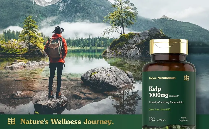 Tahoe Nutritionals Kelp Supplement Capsules | 1000mg | 180 Count | Non-GMO & Gluten Free Extract - hike