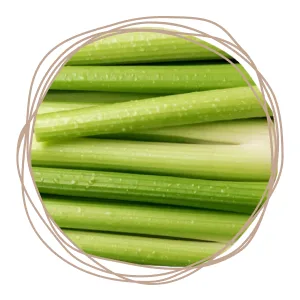 PUR Cold-Pressed Juice Celery Kick 18 Pack Celery Juice Lemon Ginger Cayenne and Himalayan Salt Invigorating Drink Supports Wellness Digestion & Cleanse Days Raw Pressed at Source - celery