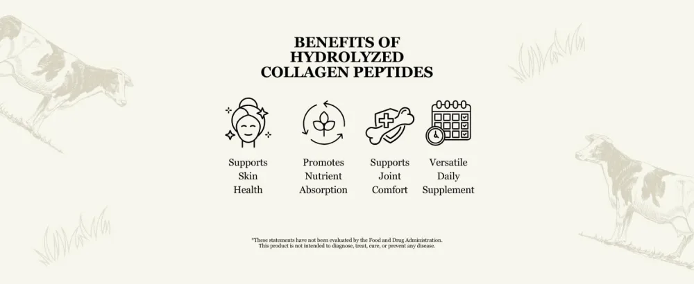 Nopalina Hydrolyzed Collagen Peptides Powder - Type I & III Grass Fed Pasture Raised Bovine Collagen - 20g Per Serving Unflavored 320g (16 Servings) - Collagen