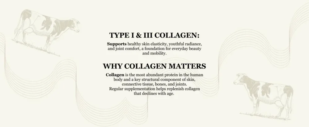Nopalina Hydrolyzed Collagen Peptides Powder - Type I & III Grass Fed Pasture Raised Bovine Collagen - 20g Per Serving Unflavored 320g (16 Servings) - Collagen
