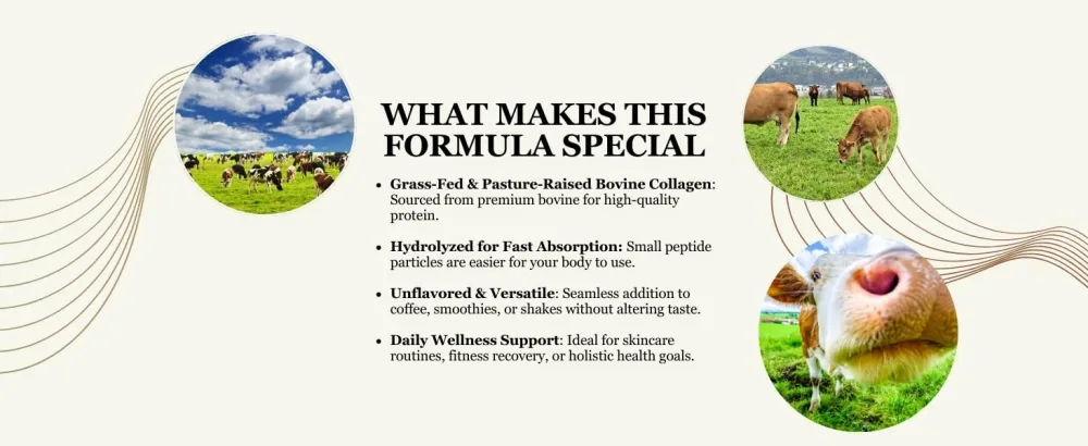 Nopalina Hydrolyzed Collagen Peptides Powder - Type I & III Grass Fed Pasture Raised Bovine Collagen - 20g Per Serving Unflavored 320g (16 Servings) - Collagen