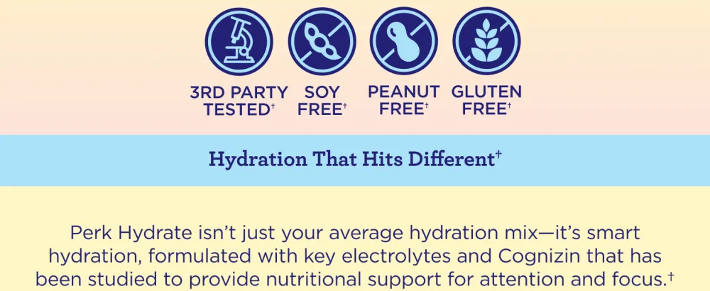 Perk Hydrate Electrolyte Stickpacks Pina Colada Flavored (20 Packets) - Coconut Water CDP-Choline L-Theanine Gluten-Free - Perk Hydrate