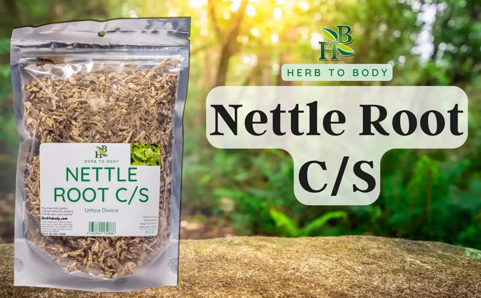 Herb To Body Nettle Root C/S | Cut & Sifted | Urtica Dioica | Wildcrafted | 4oz - Nettle Root C/S