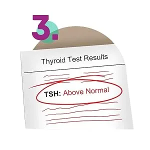 Optimal Thyroid - at Home Thyroid Function Test Kit for Women and Men - instruction 3
