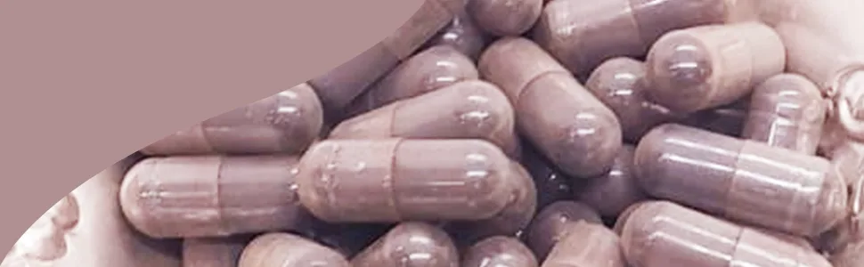 Herbsforever Iron Plus Capsules Supplement Promotes Iron Level 60 Capsules - Iron Plus Capsules