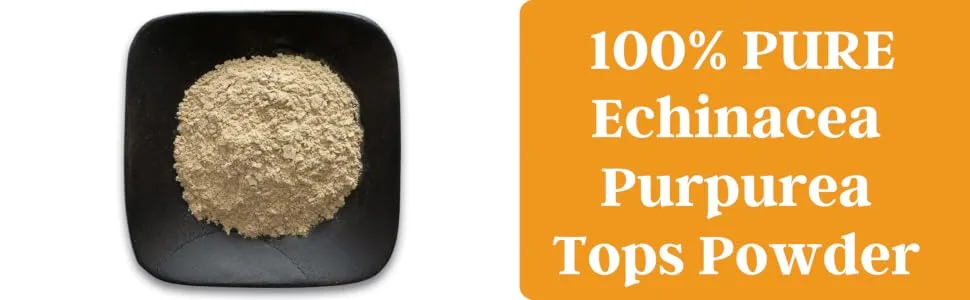 Herb To Body Echinacea Purpurea Tops Powder | Echinacea Purpurea | Wildcrafted | 4oz - product information 1