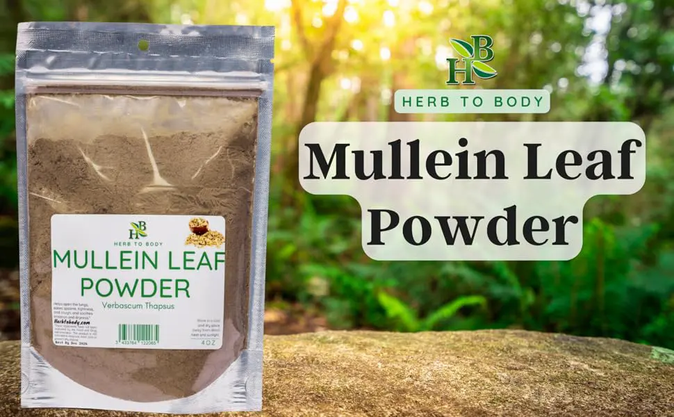 Herb To Body Mullein Leaf Powder | Verbascum Thapsus | Wildcrafted | 4oz 4 Ounce (Pack of 1) - Mullein Leaf Powder