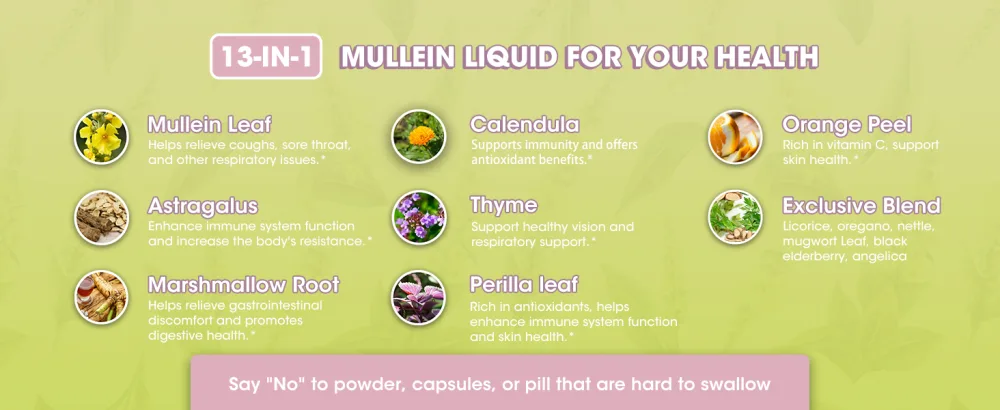 Mullein Drops for Lungs Mullein Leaf Extract with Marshmallow Root Perilla & Astragalus for Respiratory Support Immune Boost & Lung Detox Natural Herbal Formula Vegan 2 fl oz 2 Fl Oz (Pack of 1) - caftif mullin leaf extract
