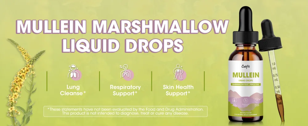 Mullein Drops for Lungs Mullein Leaf Extract with Marshmallow Root Perilla & Astragalus for Respiratory Support Immune Boost & Lung Detox Natural Herbal Formula Vegan 2 fl oz 2 Fl Oz (Pack of 1) - catfit mullein drops for lung