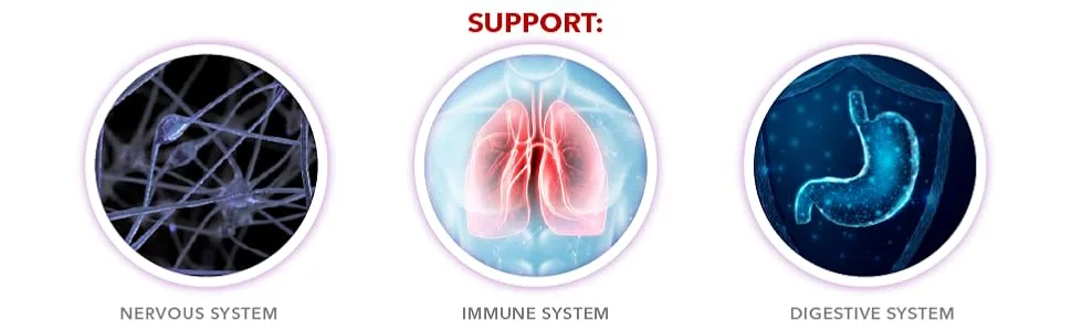 B12 1 000 mcg 2oz 120 Servings Raspberry Flavor Methylcobalamin Sublingual Drops 2 Fl Oz (Pack of 1) - Support Nervous System, Immune System, and Digestive System