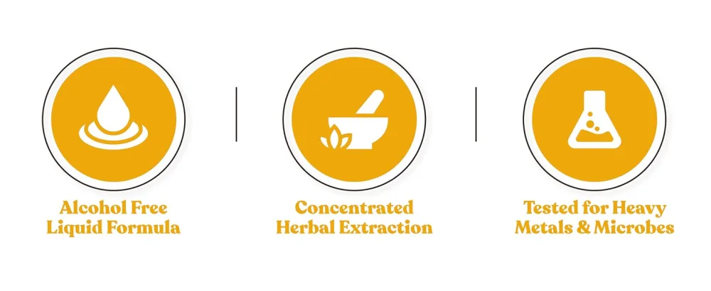 Healthy Essentials Turmeric - Turmeric Root Extract with Natural Curcumin - Liquid Delivery for Better Absorption - Supports Joint Health - Turmeric joint support 2oz