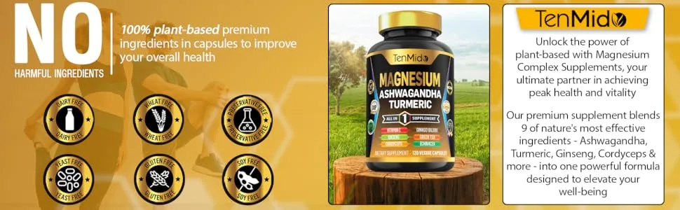 Tenmido Magnesium Supplement -120 Capsules for 2 Months Supply - with Vitamin C Ashwagandha Turmeric Panax Ginseng & More - magnesium complex vegan magnesium complex pills magnesium complex 10 in 1 vitamin magnesium complex