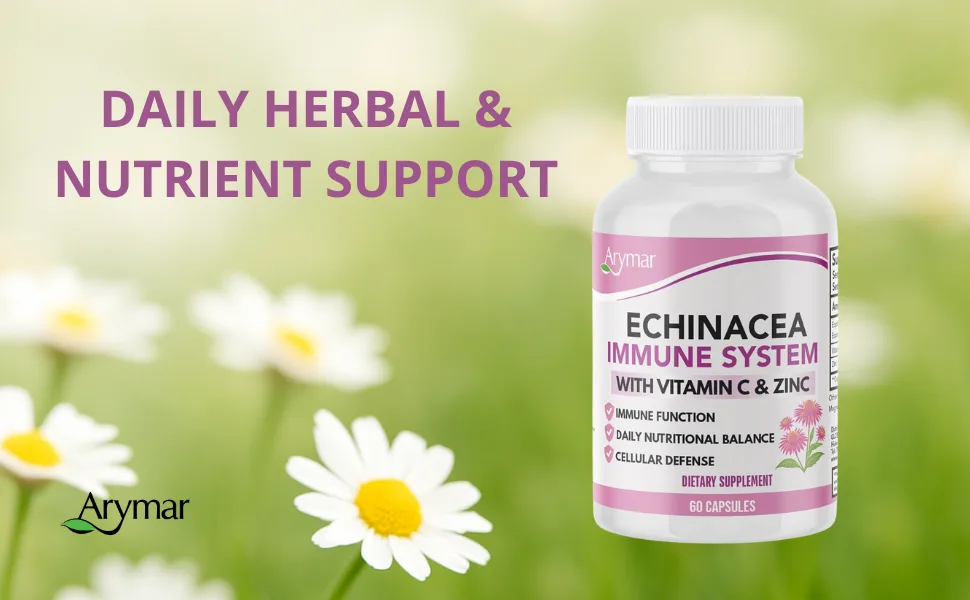 ARYMAR Echinacea + Vitamin C & Zinc Immune Support Supplement with Herbal & Nutrient Blend 60 Capsules - Arymar Echinacea Immune System