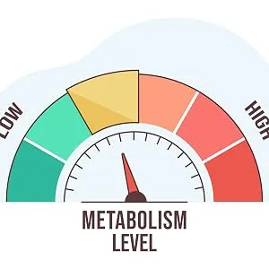 Molybdenum 16oz. - Liquid Mineral - Metabolism