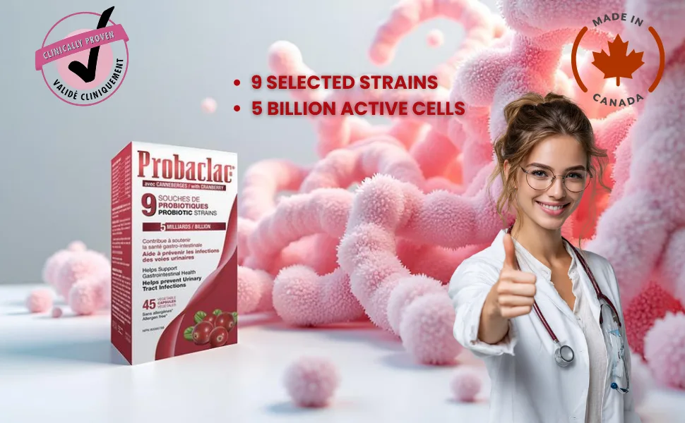 Probaclac PROBIOTICS for UTIs with Cranberry Formula Urinary & Digestive Health Support Multi-Strain probiotic and lactic Ferment Complex (9 strains) (2) - product information 3