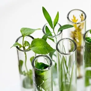 Made from Earth Plant Stem Cell Moisturizer with Collagen & Hyaluronic Acid 2oz - real ingredients