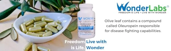 Wonder Labs Olive Leaf Extract Standardized to Contain 18% Oleuropein Immune Health Support 120 Capsules - olive leaf extract