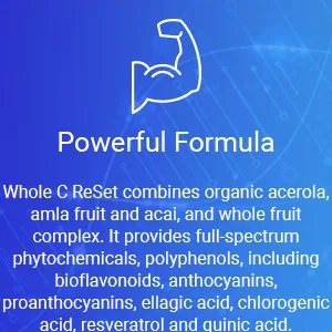 RnA ReSet Whole C Reset Vita-C Fruit Blend with Bioflavonoids & Polyphenols Organic Vitamin C Complex Immune Support (60 Capsules) - Powerful Formula -Whole C ReSet combines organic acerola, organic tart cherry and whole fruit comple