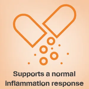 Turmeric Curcumin 1800mg with 95% Curcuminoids & Black Pepper High Absorption Formula for Joint Inflammation & Immune Support Extra Strength Vegan Non-GMO 90 Capsules - Supports a normal inflammation response