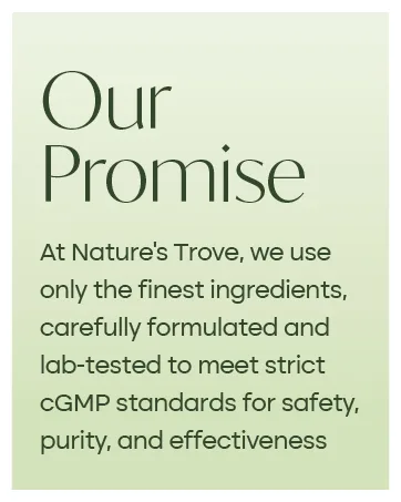 Melatonin 3mg Chewable 365 Chewable Melatonin Cherry Flavor Tablets by Nature s Trove 365 Count (Pack of 1) - Natures Trove Use only the finest ingredients