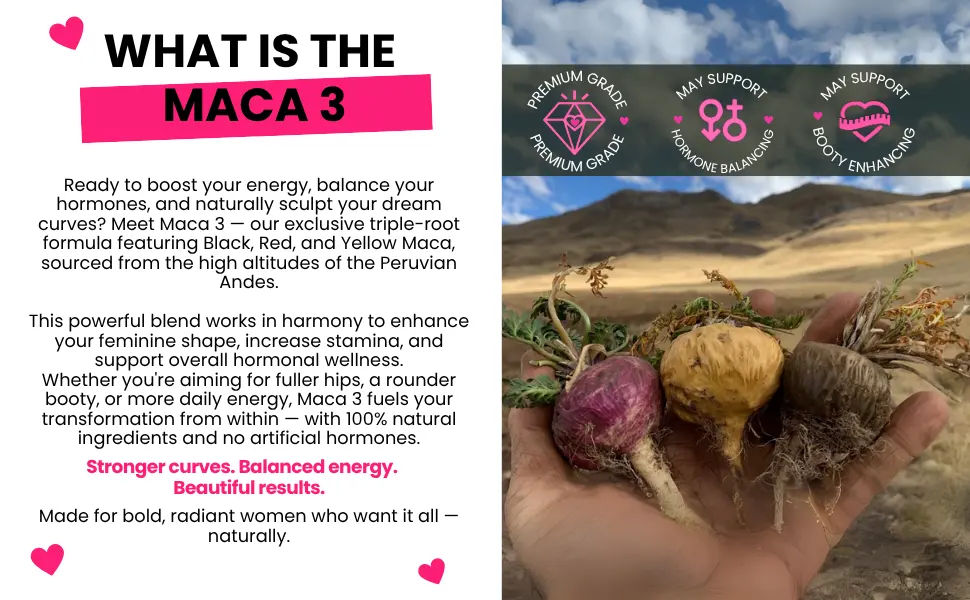 Maca 3 Capsules Black Red & Yellow Maca Root Blend Feminine Balance & Natural Body Support Herbal Formula - Hand holding three fresh maca roots in the Andes