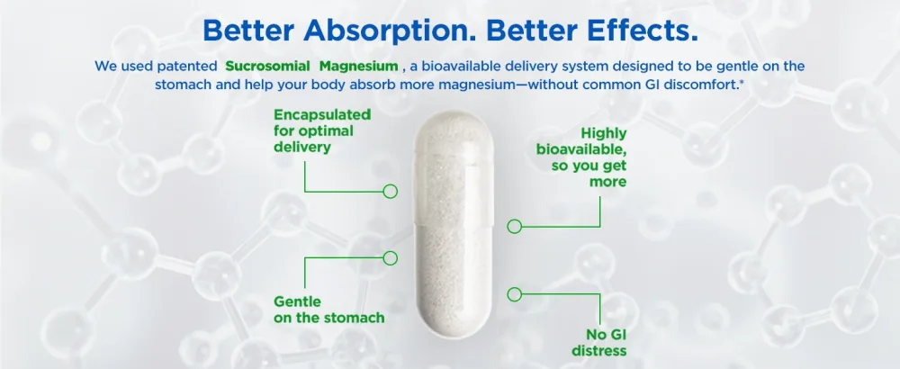 BioTrust Multi Magnesium Complex - High-Absorption 7-in-1 Supplement with Glycinate Malate Citrate Taurate Sucrosomial & More for Relaxation Focus Muscle Support - B6 & L-Theanine 60 Capsules - Multi Magnesium