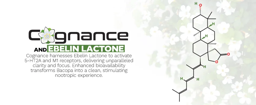 Nootropics Depot Cognance Enhanced Bacopa Capsules | 100mg | 10% Ebelin Lactone | Bacopa monnieri | Mood Memory & 5-HT2A Activation 60 Count (Pack of 1) - Cognance Bacopa