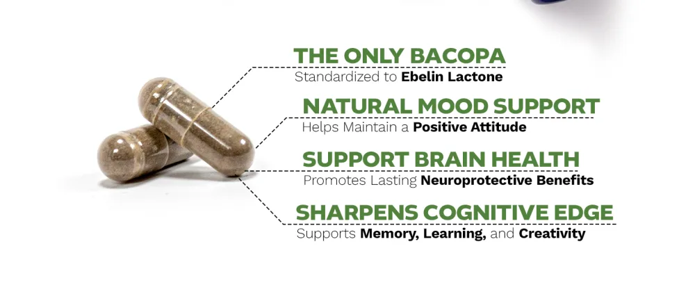 Nootropics Depot Cognance Enhanced Bacopa Capsules | 100mg | 10% Ebelin Lactone | Bacopa monnieri | Mood Memory & 5-HT2A Activation 60 Count (Pack of 1) - Cognance Bacopa