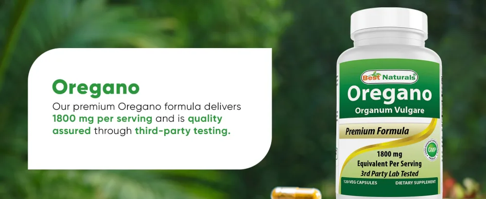 Best Naturlas Oregano Leaf Extract 1800 mg Equivalent Per Serving - 120 Veg Capsules 120 Count (Pack of 1) - Natural oregano extract