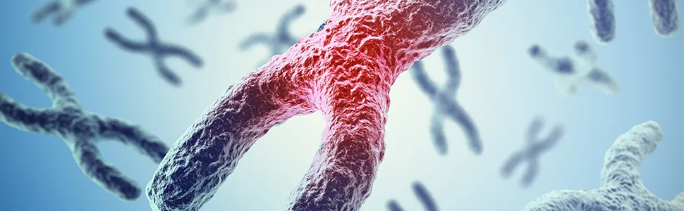 CAW Telomere Support Hypersorption Cycloastragenol 10mg 30 Capsules and Astragaloside IV 50mg 30 Capsules - product information 1
