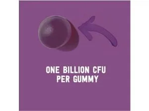 Amazon Brand - Mama Bear Vegan Probiotic Berry 60 Gummies 1 Billion CFU per Gummy Berry 60 Count (Pack of 1) - aplus content image