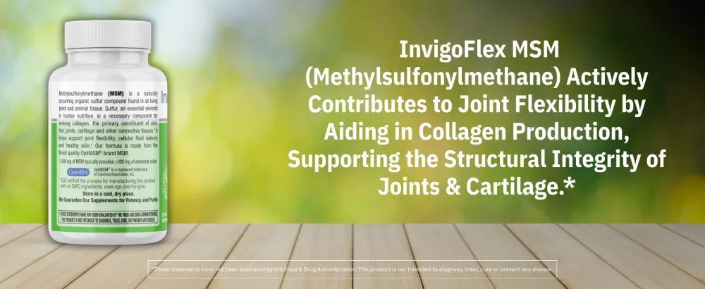 INVIGOFLEX MSM - Methylsulfonylmethane (MSM) (60 caplets) - INVIGOFLEX MSM - Methylsulfonylmethane
