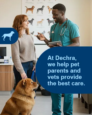EicosaCaps Omega 3 & 6 for Dogs and Cats Under 40 lbs 60 Capsules - Dechra