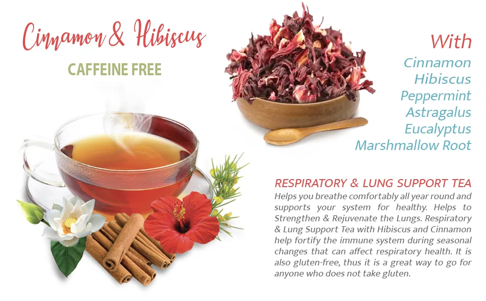 lung support herbs - RESPIRATORY AND LUNG SUPPORT TEA 14 Days - organic immune tea Respiratory Tea natural tea eucalyptus tea leaf happy lung tea Lung support tea - 1Pack 14bags - Cinnamon and Hibiscus Tea - Marshmallow Tea - Eucalyptus Root Tea - Peppermint Tea - Nettle Tea